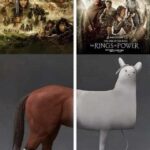 humor lord of the rings vs the ring of power