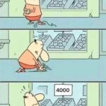 WTF-prices