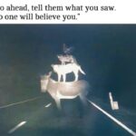 no-one-will-believe-you
