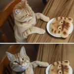 WTF-Of-That