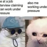 Me in the interview VS Me at work