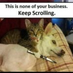keep-scrolling