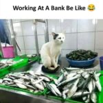 working-at-bank