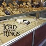 The-lord-of-the-rings