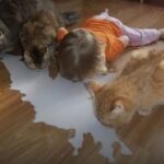 Just pure innocence