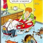 Not The Dog Too